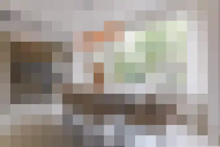 Leeuwerikstraat 53 Wormerveer thumbnail 8