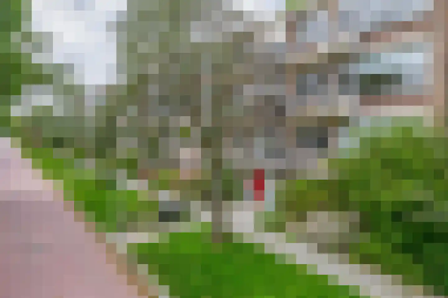 Leeuwerikstraat 55 Wormerveer thumbnail 25