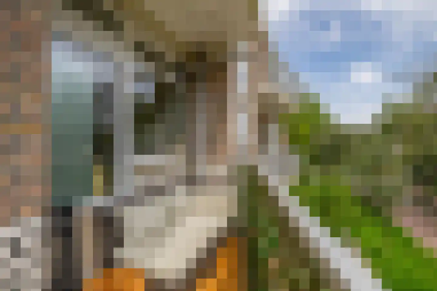 Leeuwerikstraat 55 Wormerveer thumbnail 4
