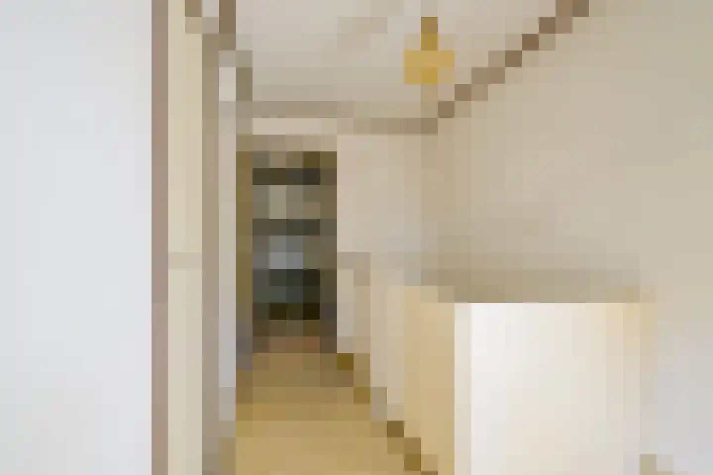 Leeuwerikstraat 56 Schagen thumbnail 27