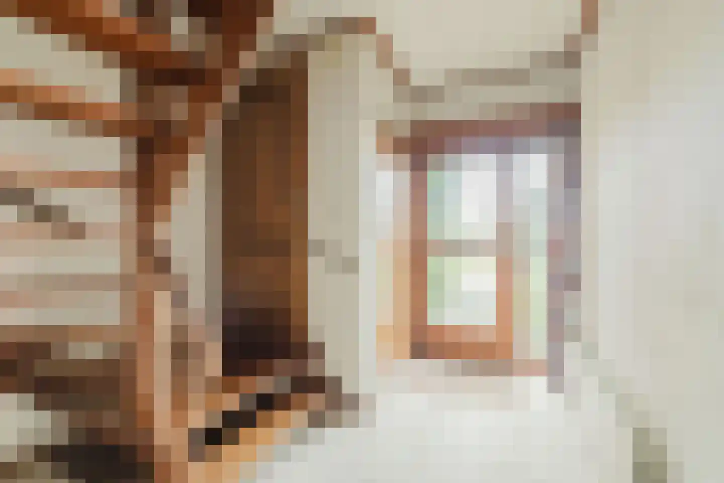 Leeuwerikstraat 58 Zundert thumbnail 10