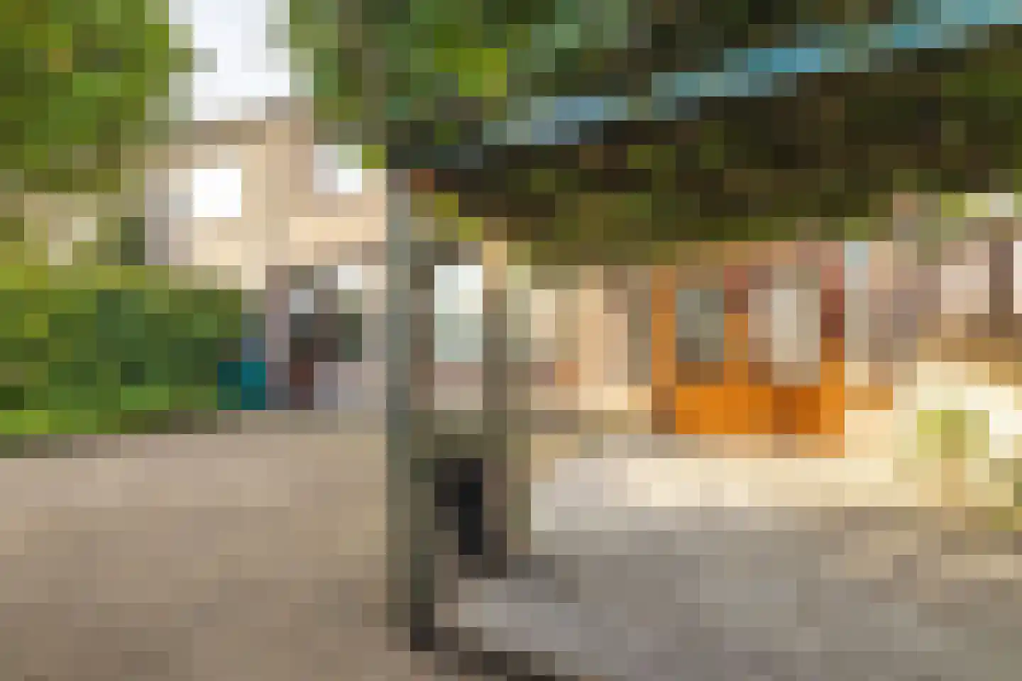 Leeuwerikstraat 58 Zundert thumbnail 39