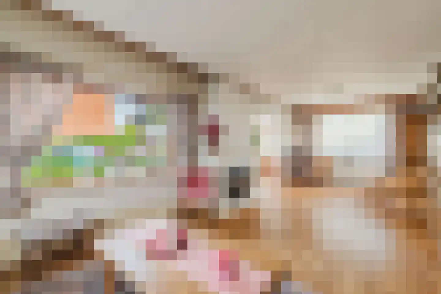 Leeuwerikstraat 58 Zundert thumbnail 4