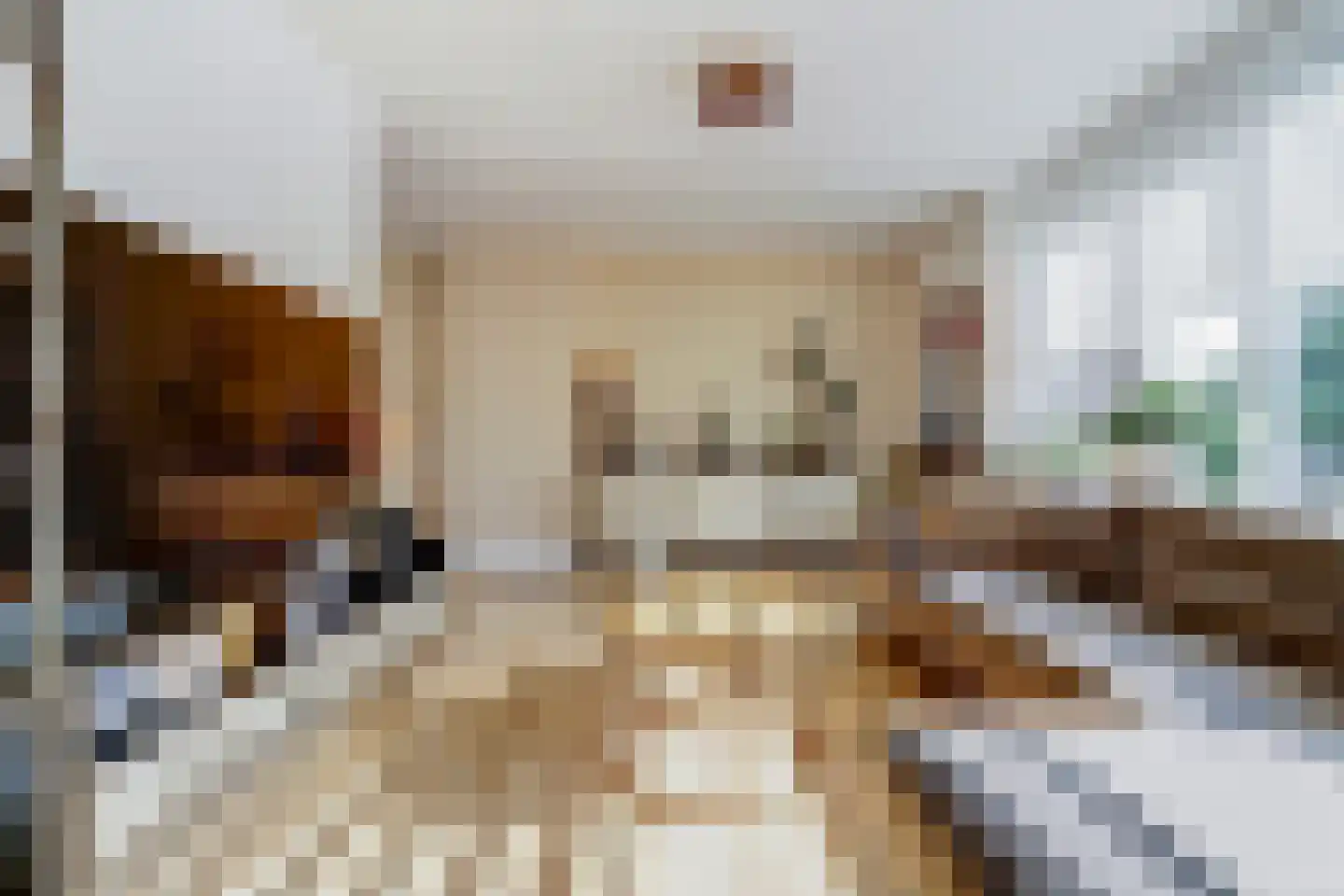 Leeuwerikstraat 6 C Papendrecht thumbnail 5