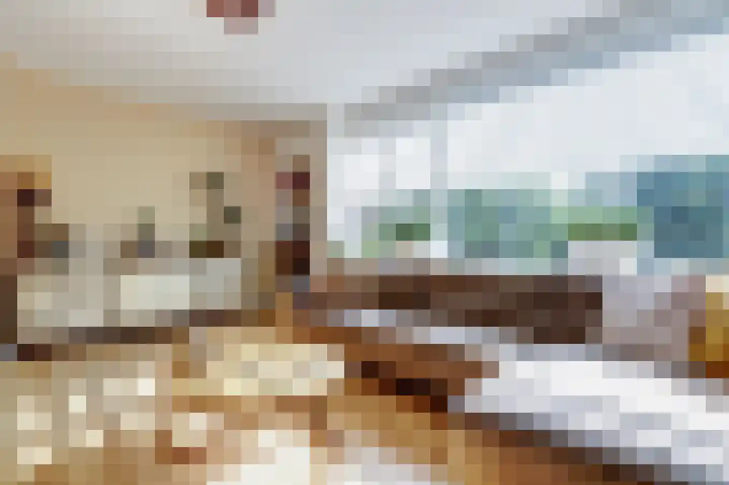 Leeuwerikstraat 6 C Papendrecht thumbnail 6