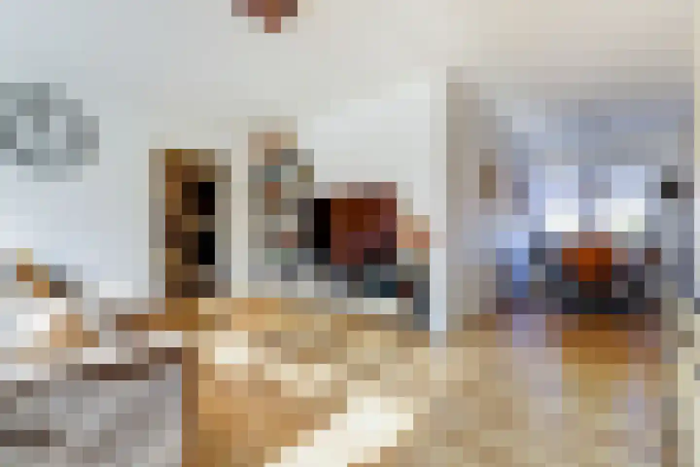 Leeuwerikstraat 6 C Papendrecht thumbnail 9
