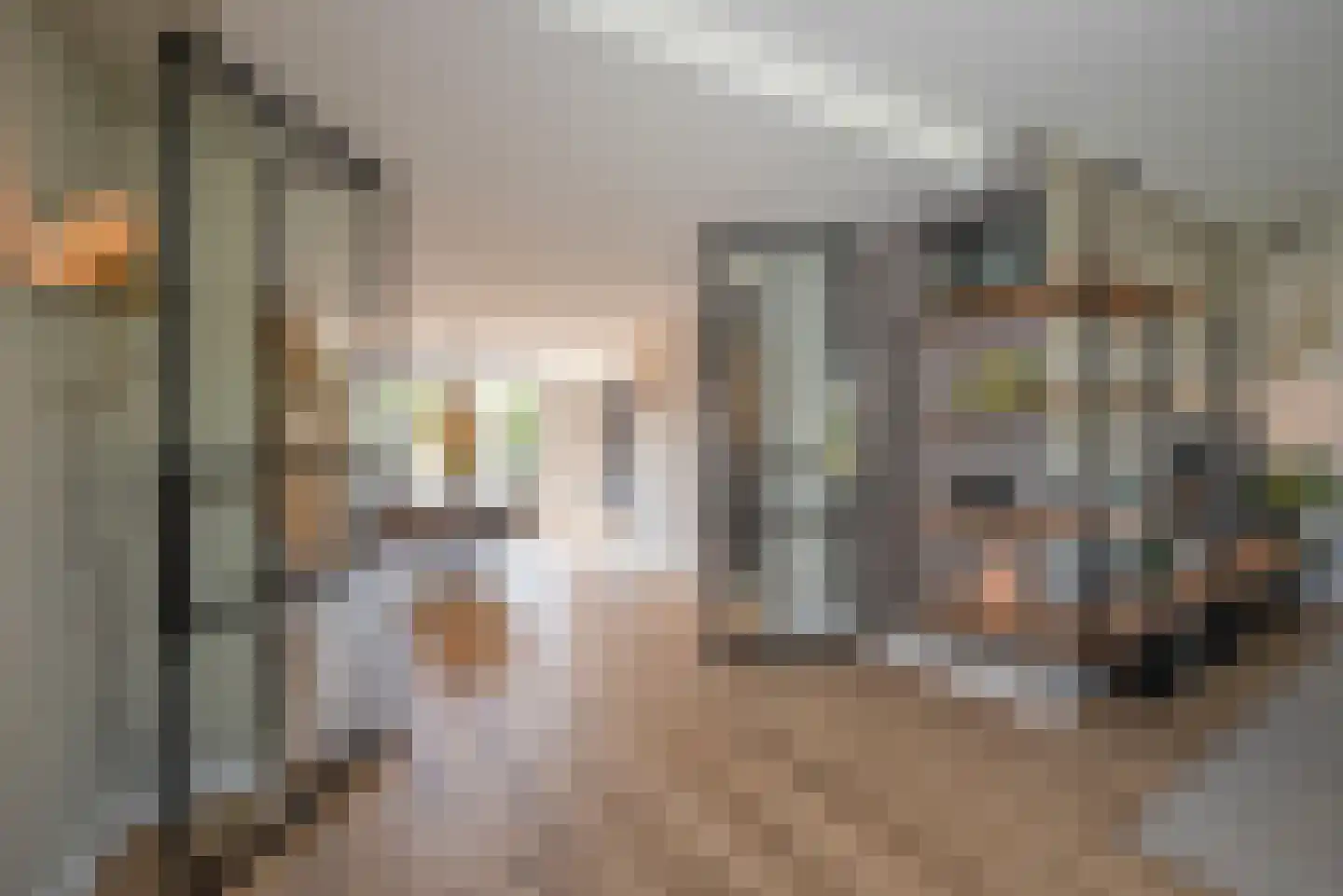 Leeuwerikstraat 6 Delden thumbnail 12