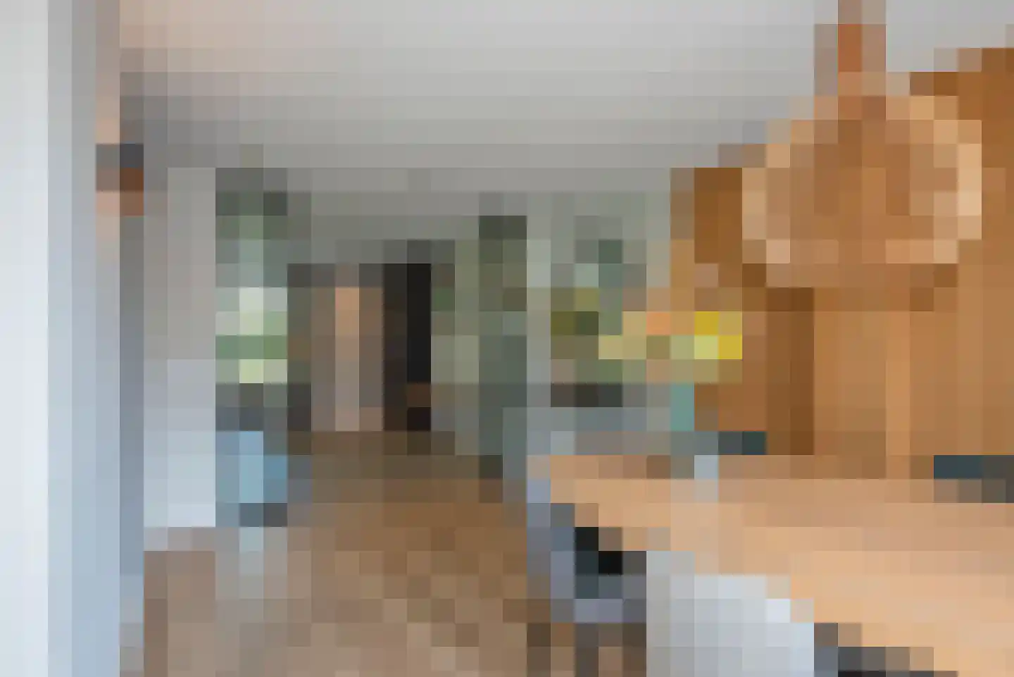 Leeuwerikstraat 6 Delden thumbnail 15
