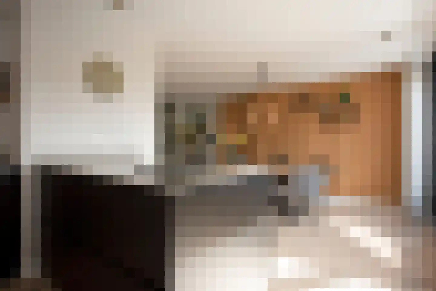 Leeuwerikstraat 6 Delden thumbnail 17