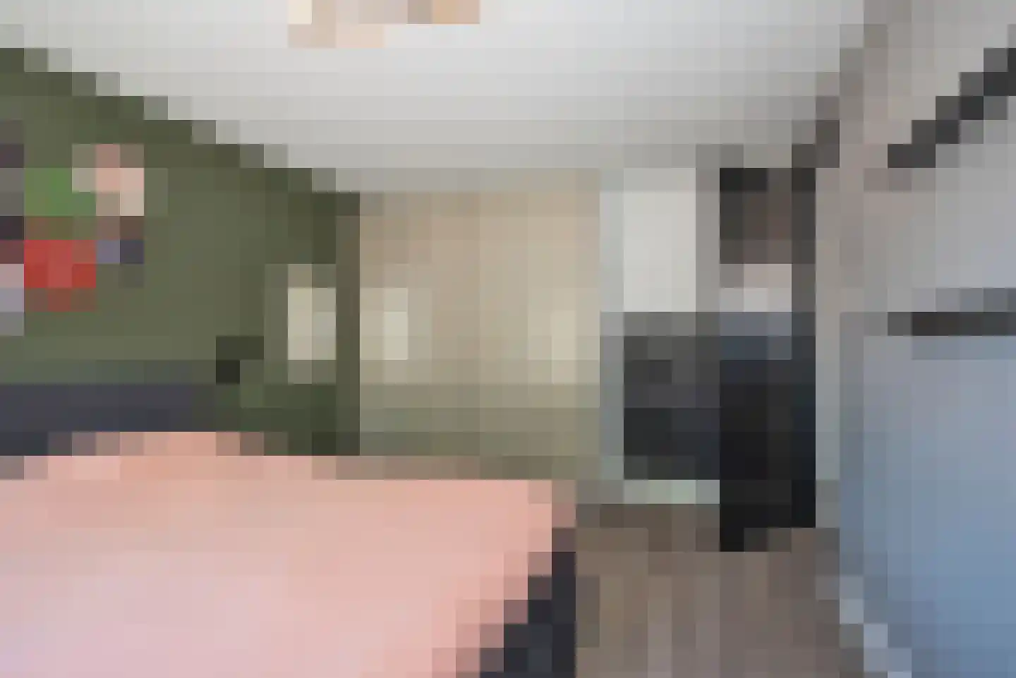 Leeuwerikstraat 6 Delden thumbnail 25