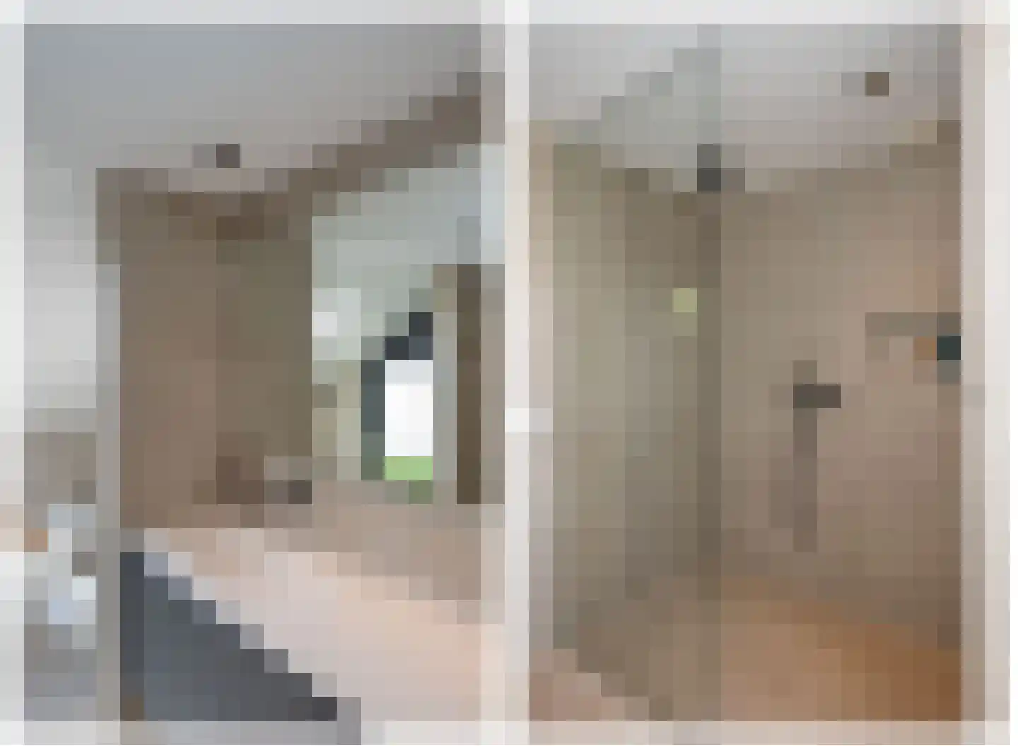 Leeuwerikstraat 6 Delden thumbnail 29