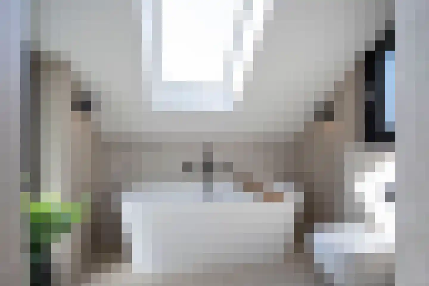 Leeuwerikstraat 6 Delden thumbnail 30