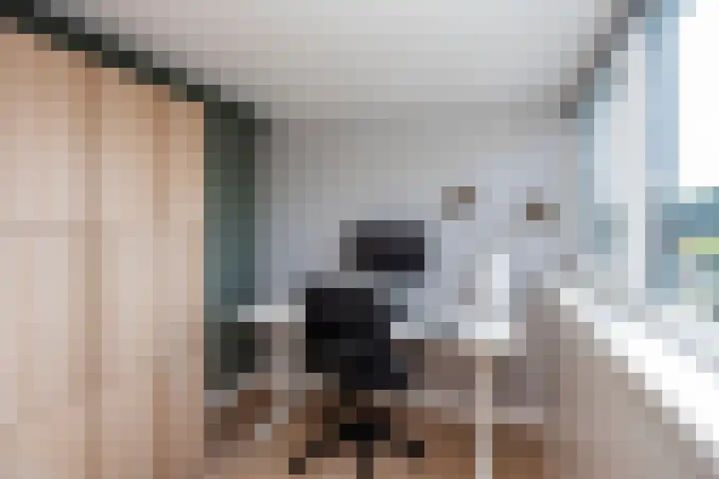 Leeuwerikstraat 6 Delden thumbnail 37