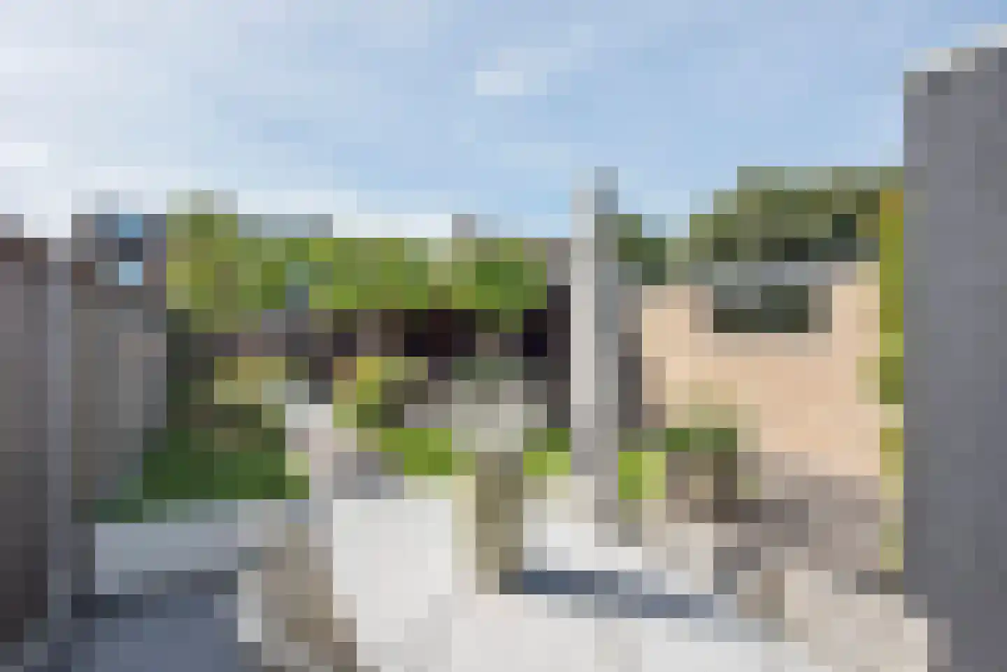 Leeuwerikstraat 6 Delden thumbnail 39