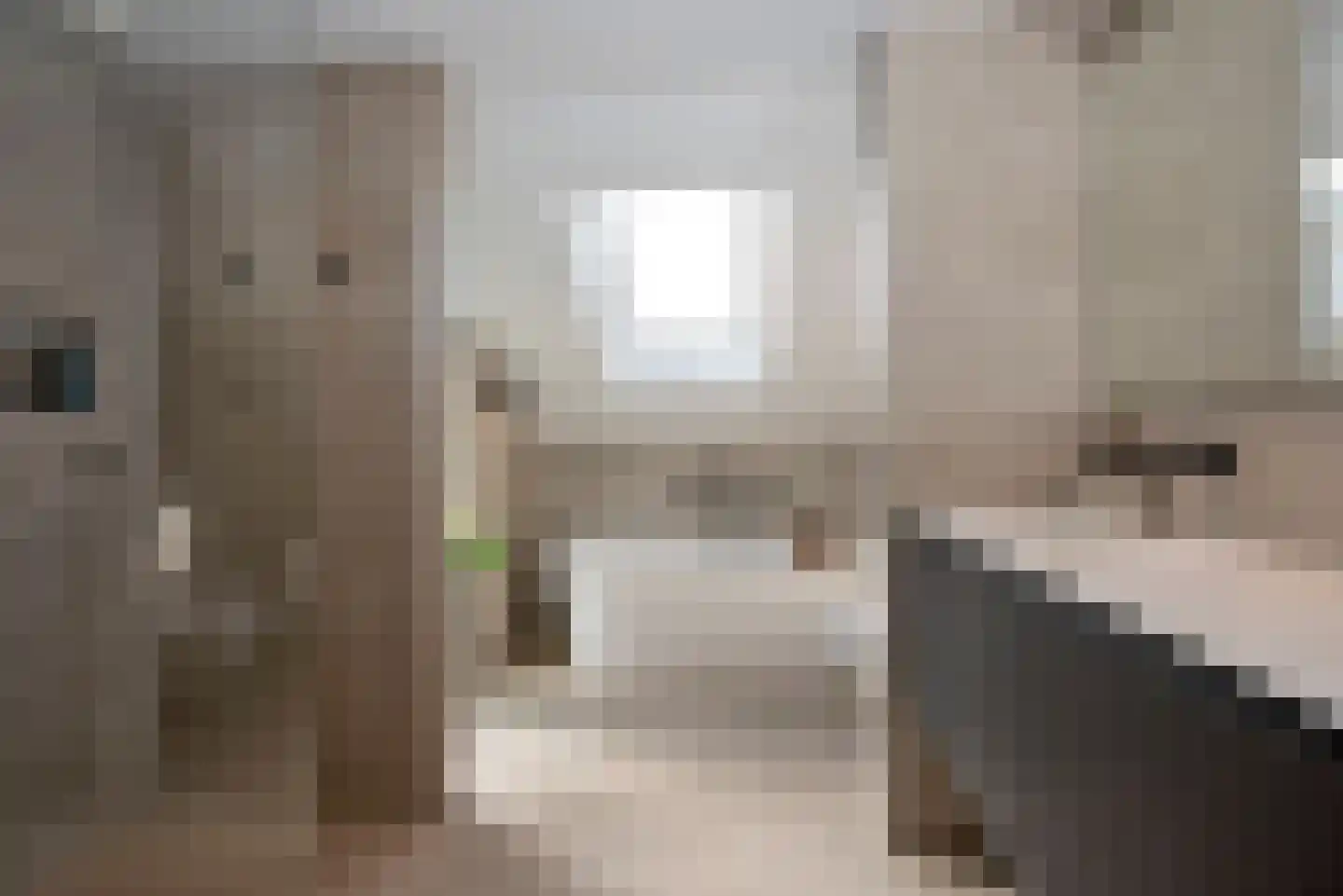 Leeuwerikstraat 6 Delden thumbnail 4