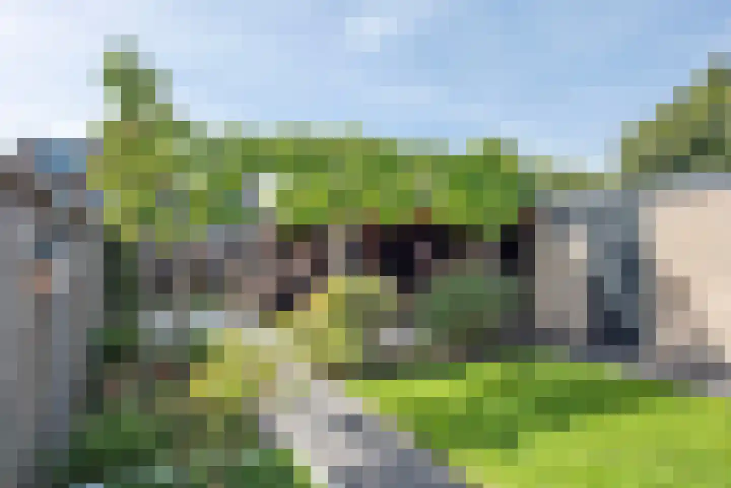 Leeuwerikstraat 6 Delden thumbnail 41