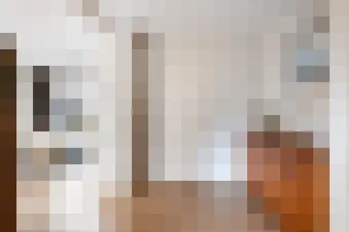 Leeuwerikstraat 6 Goor thumbnail 10