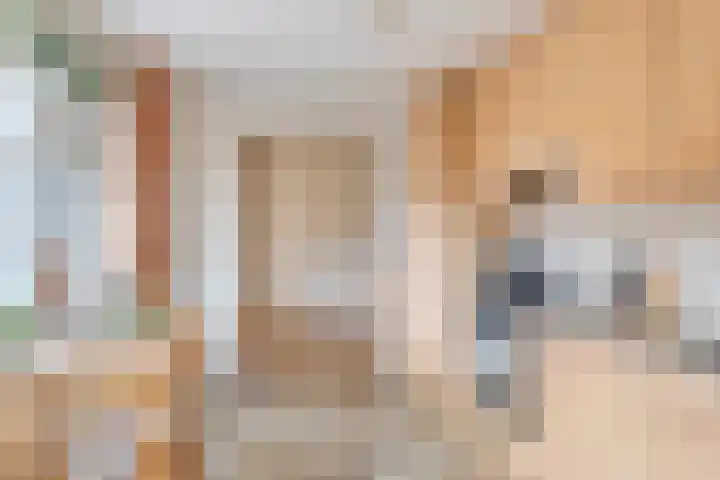 Leeuwerikstraat 6 Goor thumbnail 12