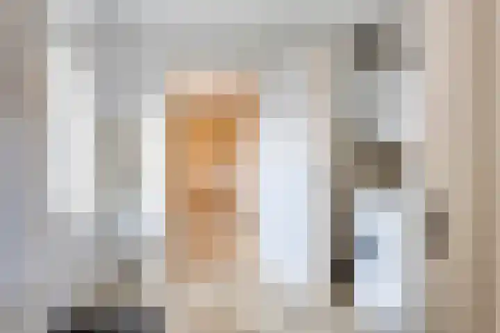 Leeuwerikstraat 6 Goor thumbnail 14