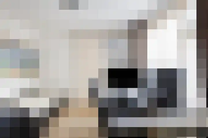 Leeuwerikstraat 6 Goor thumbnail 15