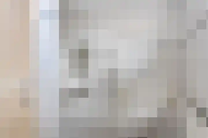 Leeuwerikstraat 6 Goor thumbnail 17