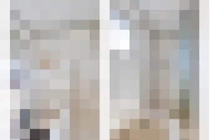 Leeuwerikstraat 6 Goor thumbnail 20