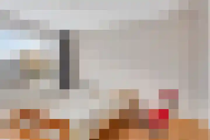 Leeuwerikstraat 6 Goor thumbnail 21
