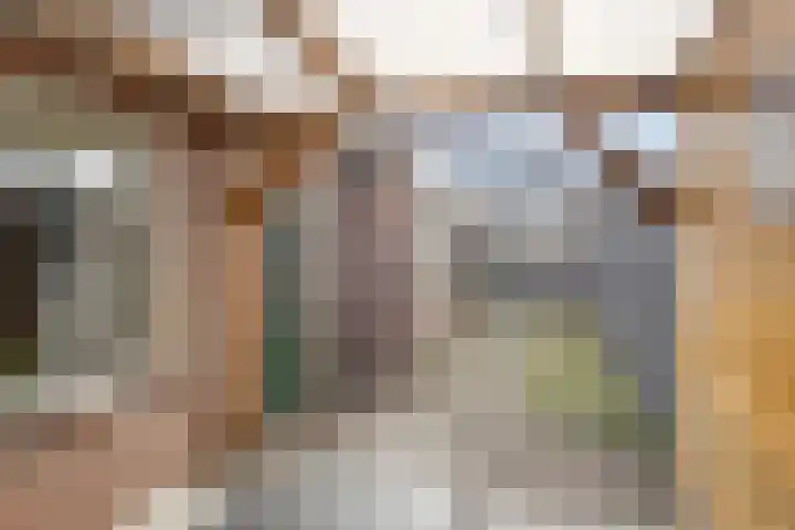 Leeuwerikstraat 6 Goor thumbnail 28