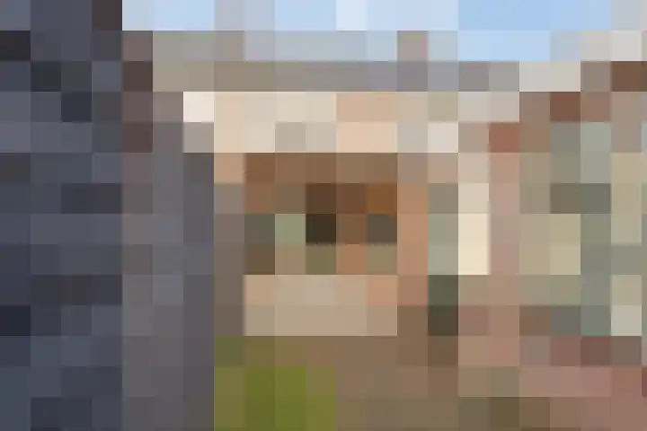 Leeuwerikstraat 6 Goor thumbnail 29