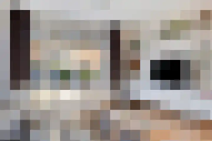 Leeuwerikstraat 6 Goor thumbnail 6