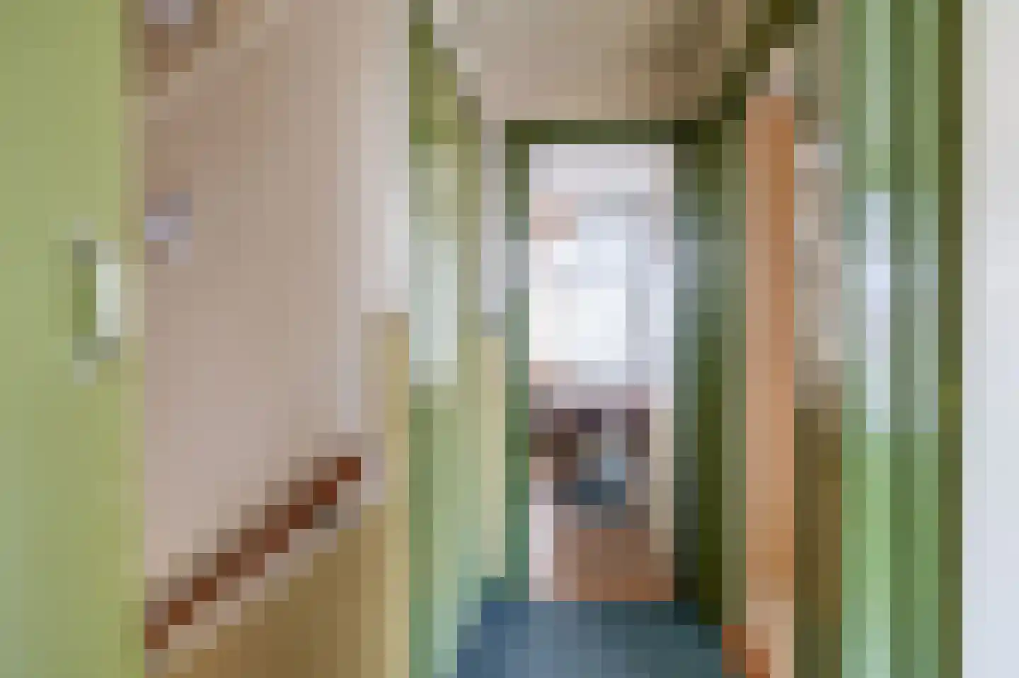 Leeuwerikstraat 6 Westzaan thumbnail 17