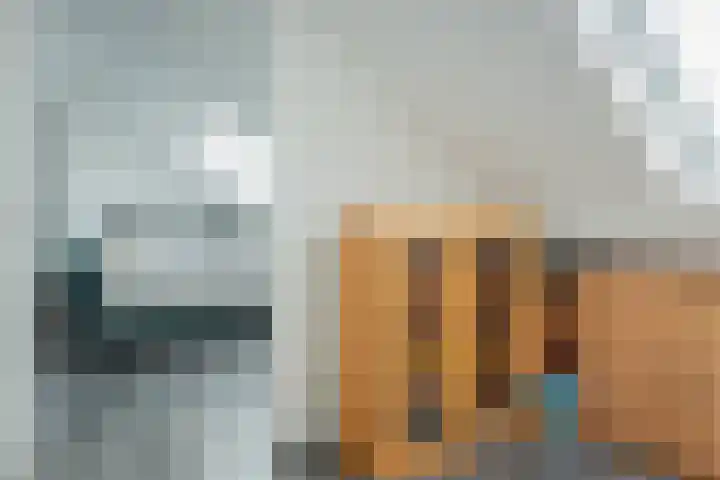 Leeuwerikstraat 64 Hattemerbroek thumbnail 33
