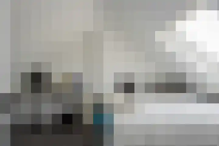 Leeuwerikstraat 64 Hattemerbroek thumbnail 34