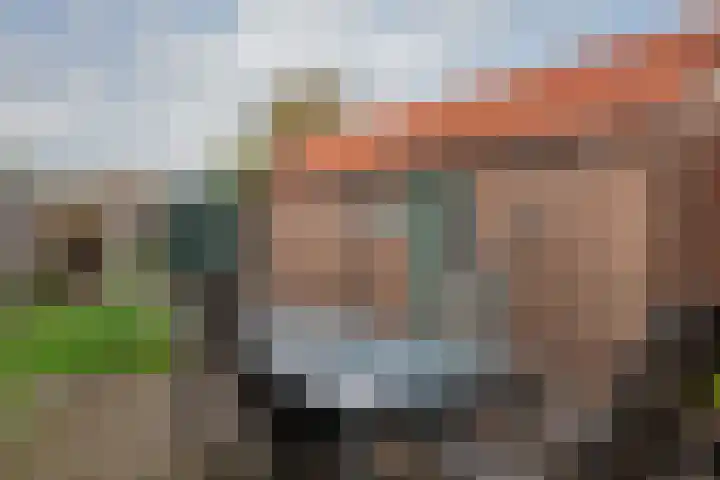 Leeuwerikstraat 64 Hattemerbroek thumbnail 36