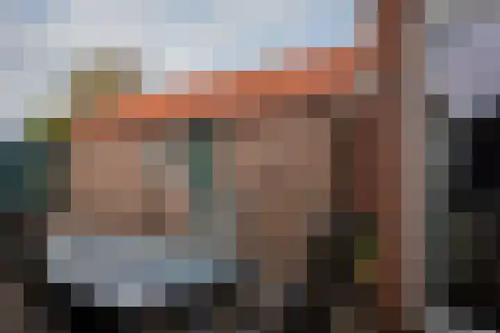 Leeuwerikstraat 64 Hattemerbroek thumbnail 37