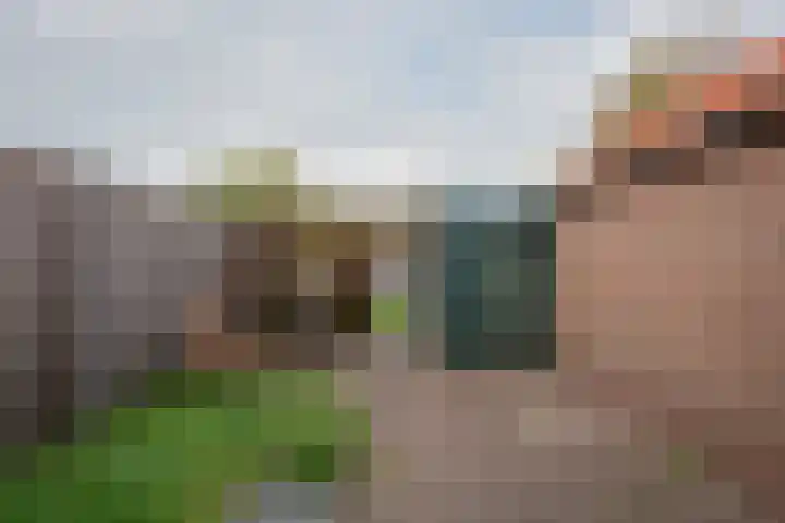Leeuwerikstraat 64 Hattemerbroek thumbnail 38