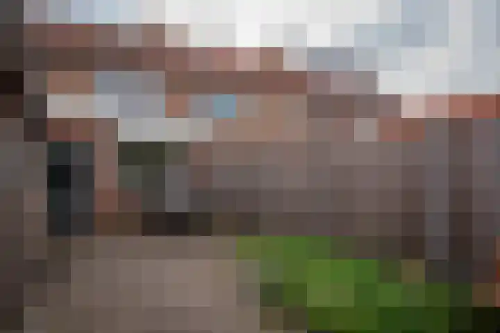 Leeuwerikstraat 64 Hattemerbroek thumbnail 39