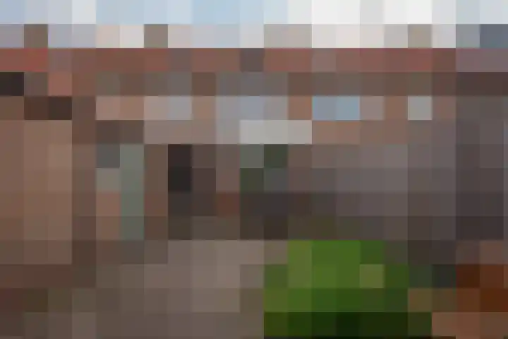 Leeuwerikstraat 64 Hattemerbroek thumbnail 40