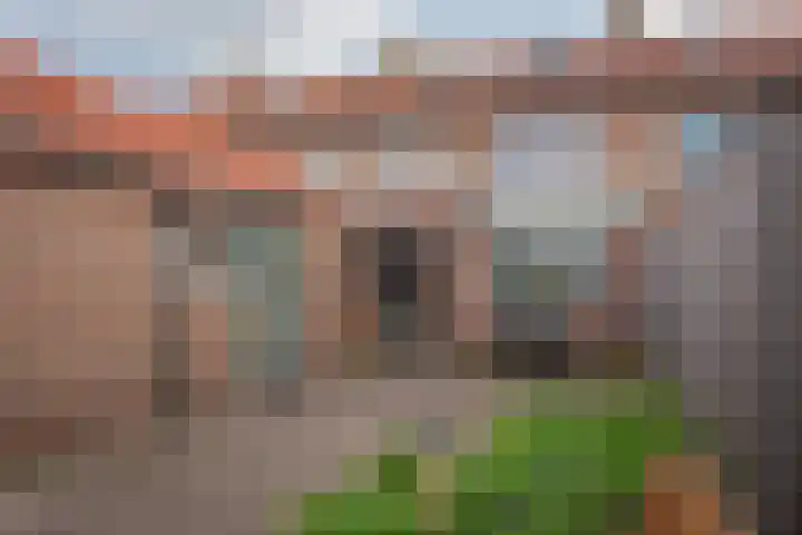 Leeuwerikstraat 64 Hattemerbroek thumbnail 44