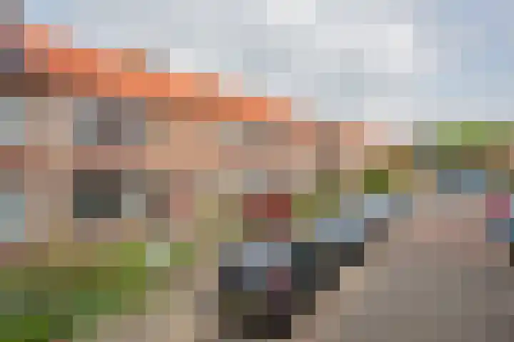 Leeuwerikstraat 64 Hattemerbroek thumbnail 48