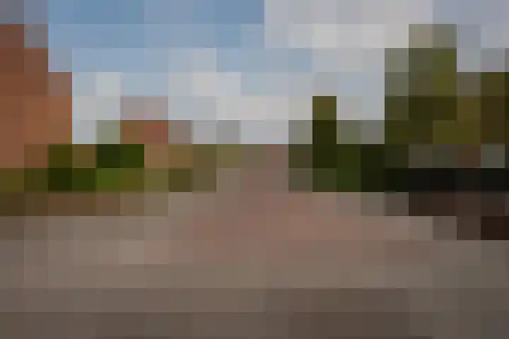 Leeuwerikstraat 64 Hattemerbroek thumbnail 54
