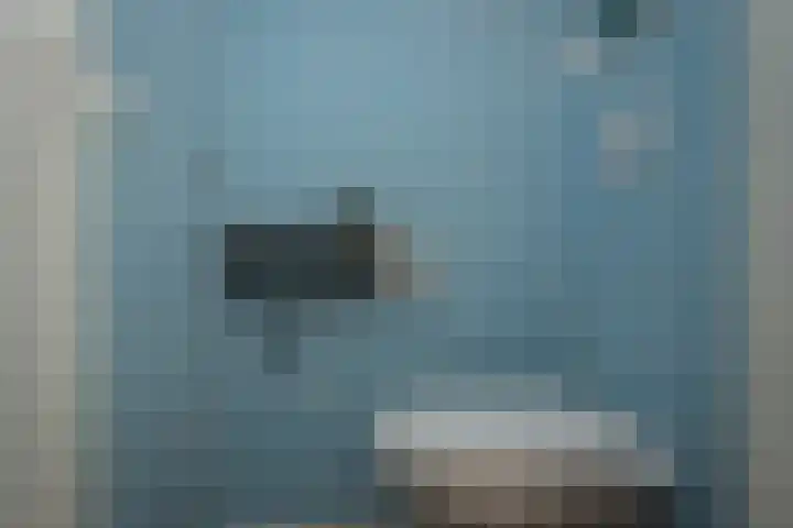 Leeuwerikstraat 64 Hattemerbroek thumbnail 6