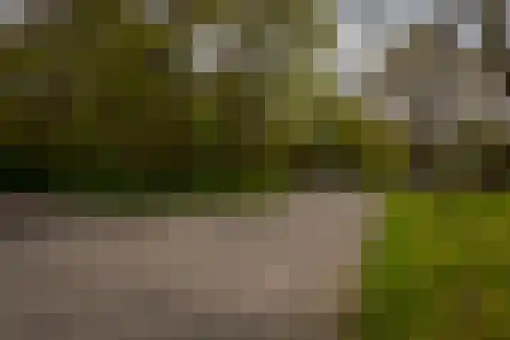 Leeuwerikstraat 64 Hattemerbroek thumbnail 61