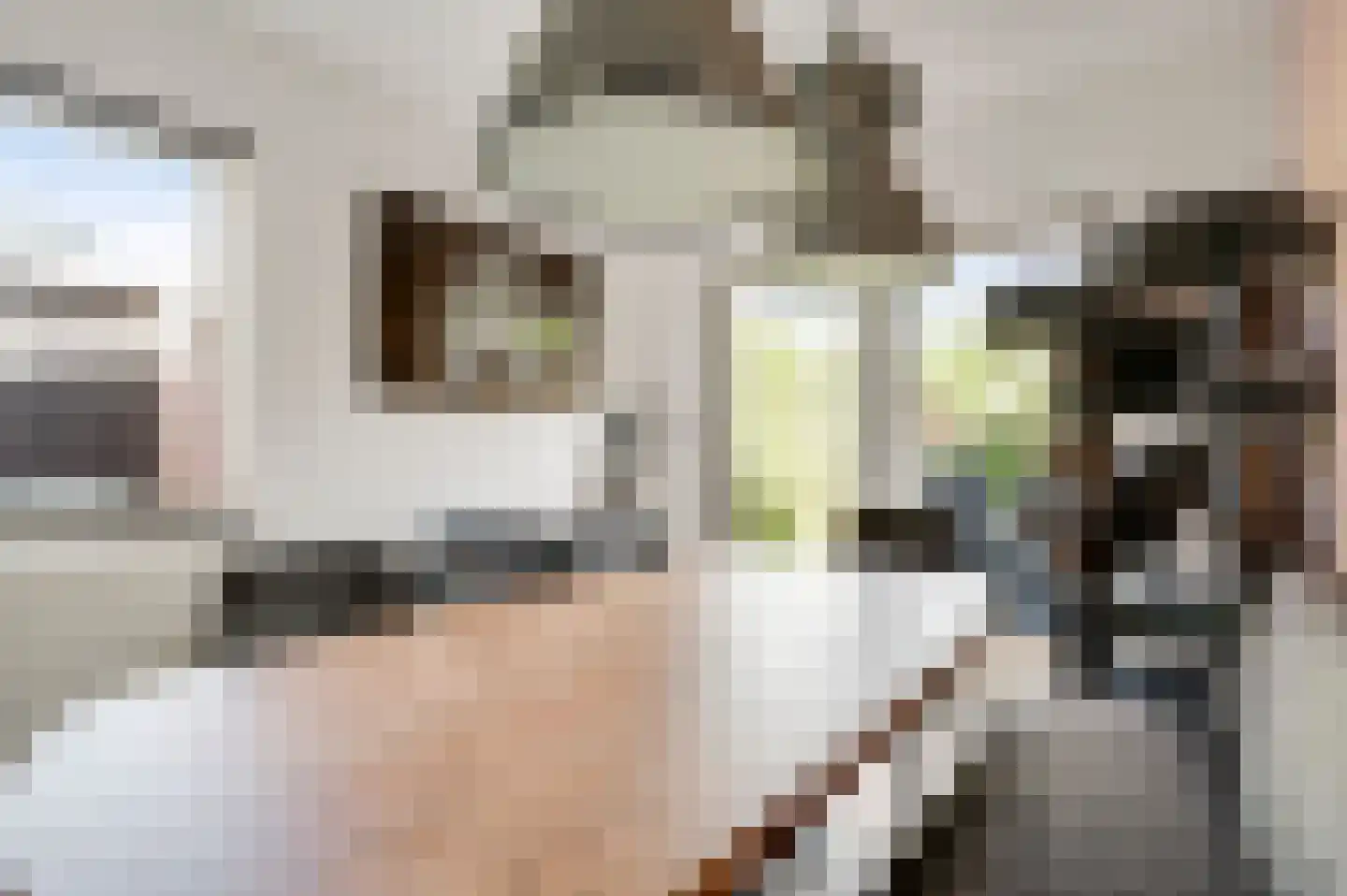 Leeuwerikstraat 64 Venlo thumbnail 28