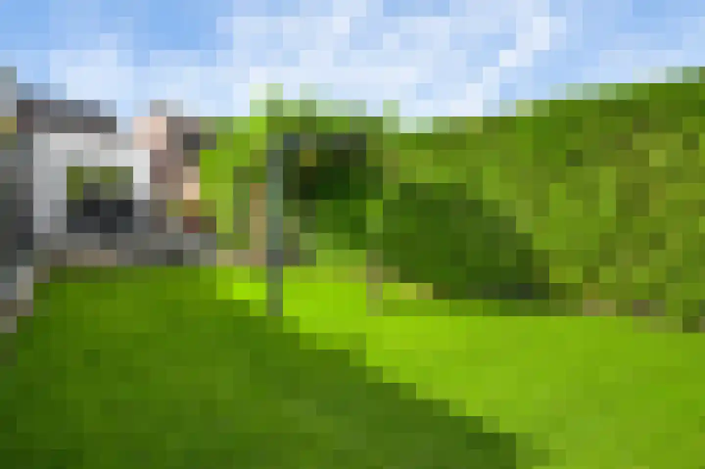 Leeuwerikstraat 64 Venlo thumbnail 35
