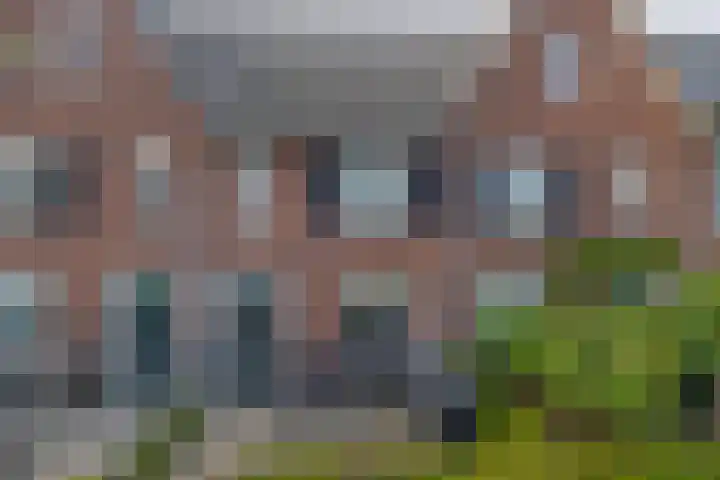 Leeuwerikstraat 69 Schoonhoven thumbnail 47