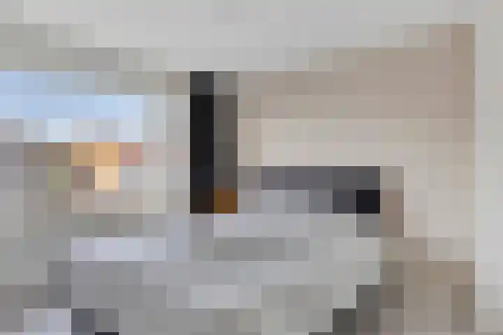 Leeuwerikstraat 7 Goor thumbnail 11