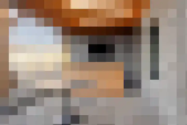 Leeuwerikstraat 7 Goor thumbnail 15
