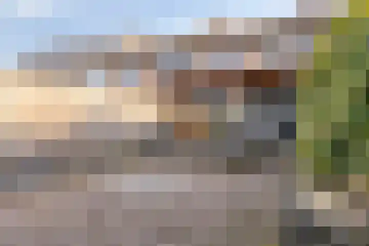 Leeuwerikstraat 7 Goor thumbnail 17