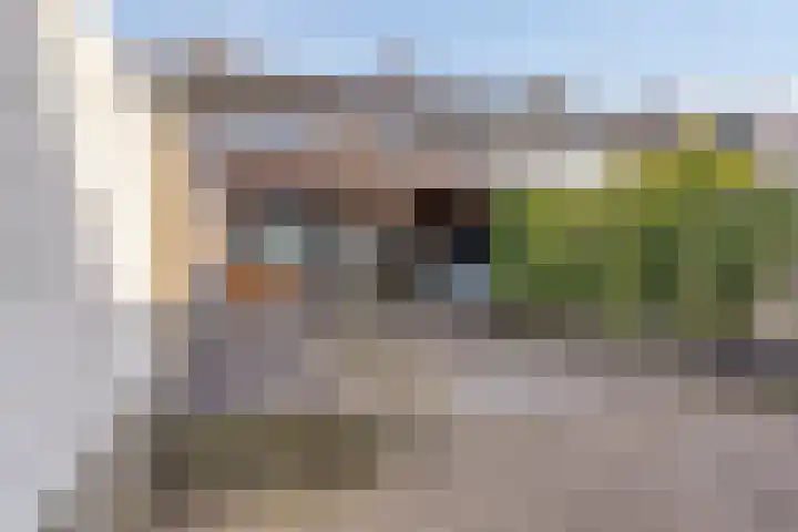 Leeuwerikstraat 7 Goor thumbnail 18